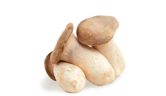 Cardoncelli Mushrooms | Funghi Cardoncelli | 2kg