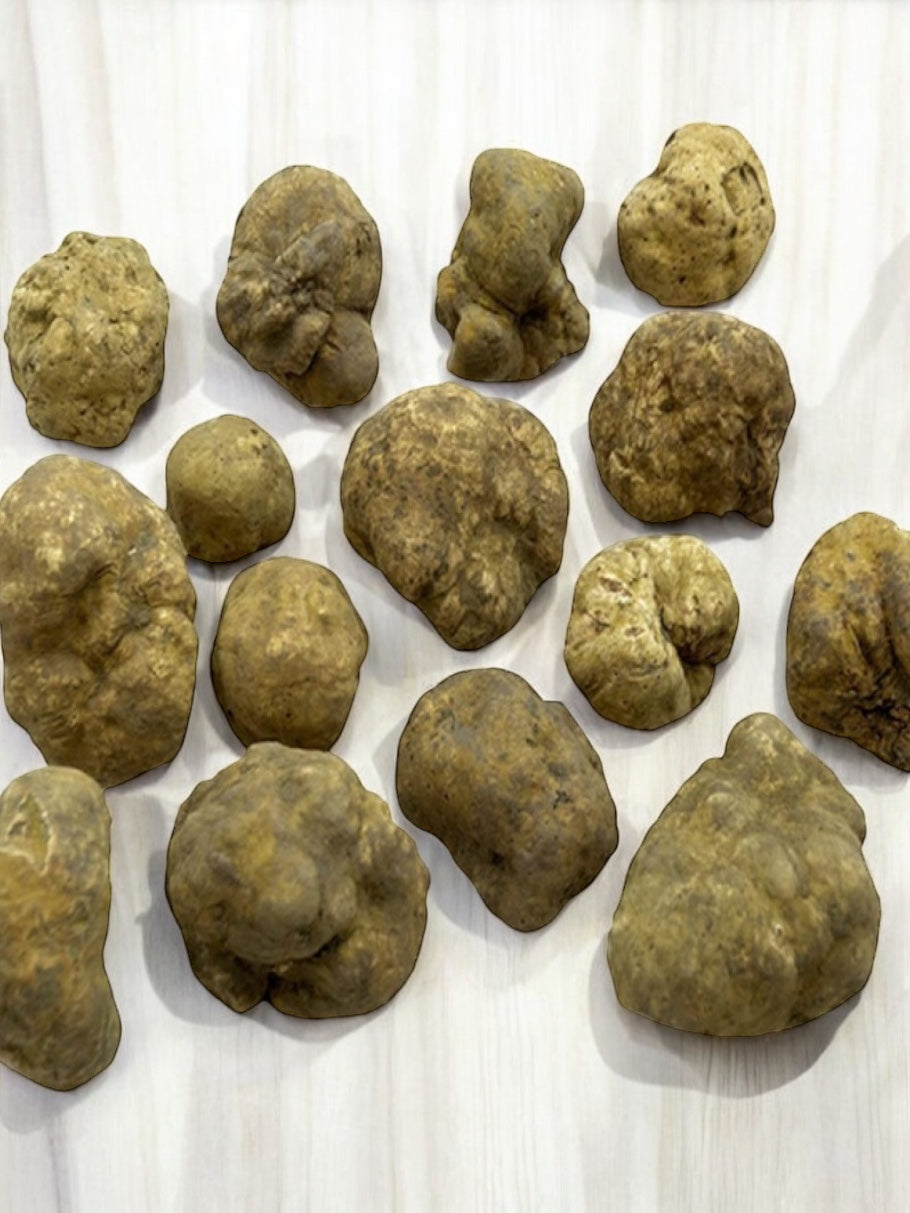 Fresh White Truffles | Tuber Magnatum (Wholesale)