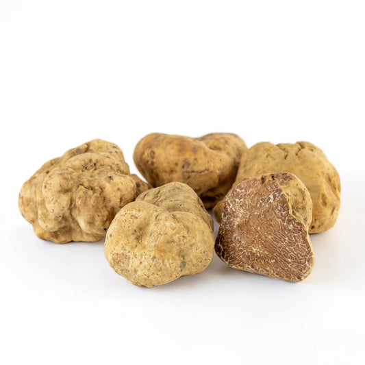 Fresh White Truffles | Tuber Magnatum (Wholesale)