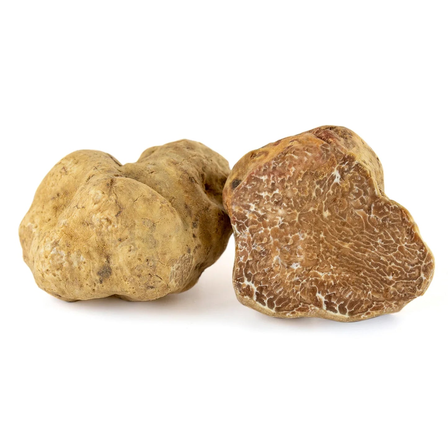 Fresh White Truffles | Tuber Magnatum (Wholesale)