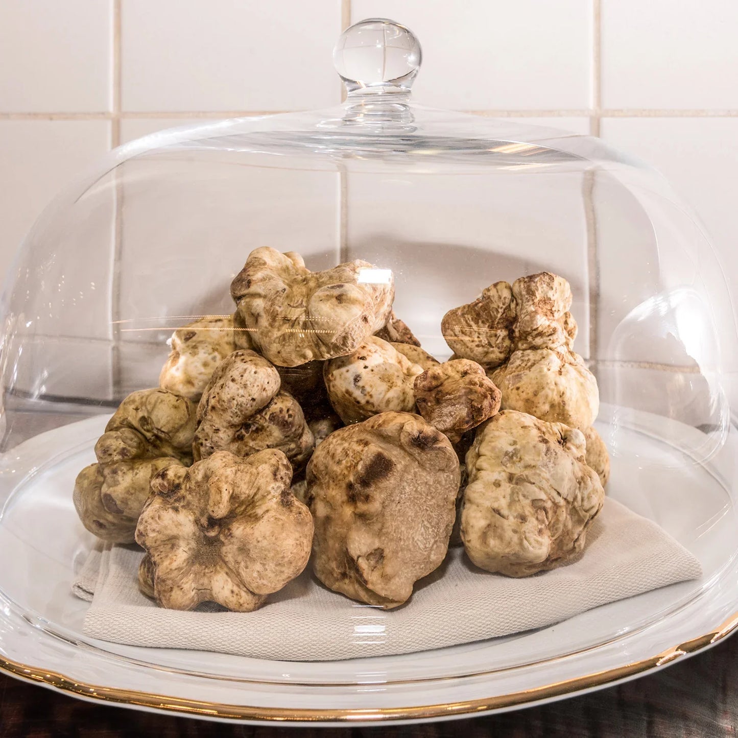 Fresh White Truffles | Tuber Magnatum (Wholesale)