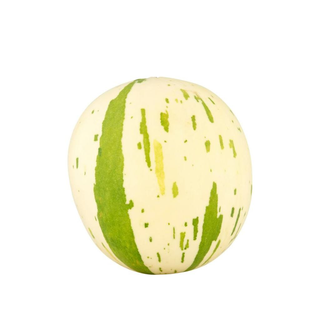 Snowball Melon | Each