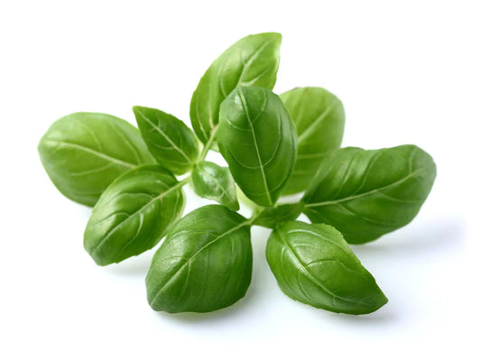 Basil Fresh | 100g