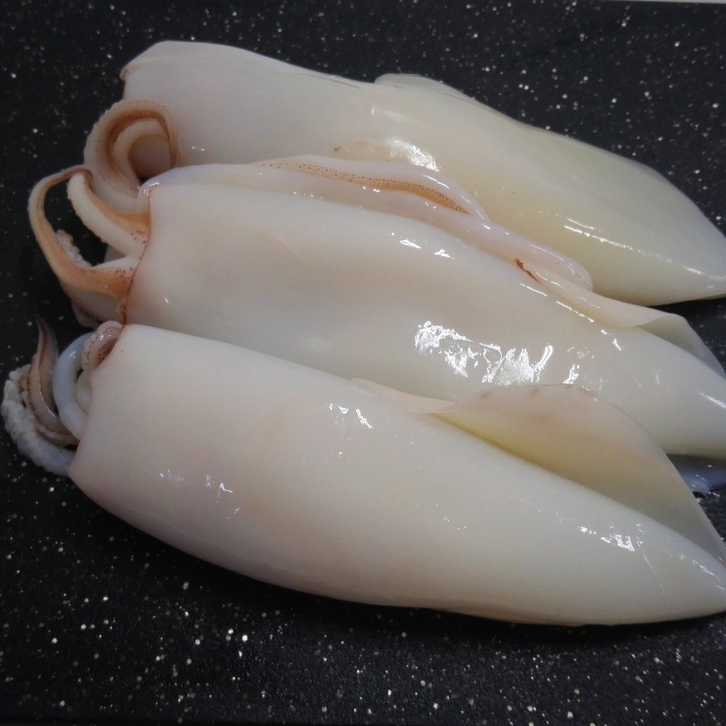 White Cleaned Squids U/5 IQF | 900g