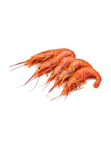 Argentina XL Red Prawns L1 | Seastar | 2Kg