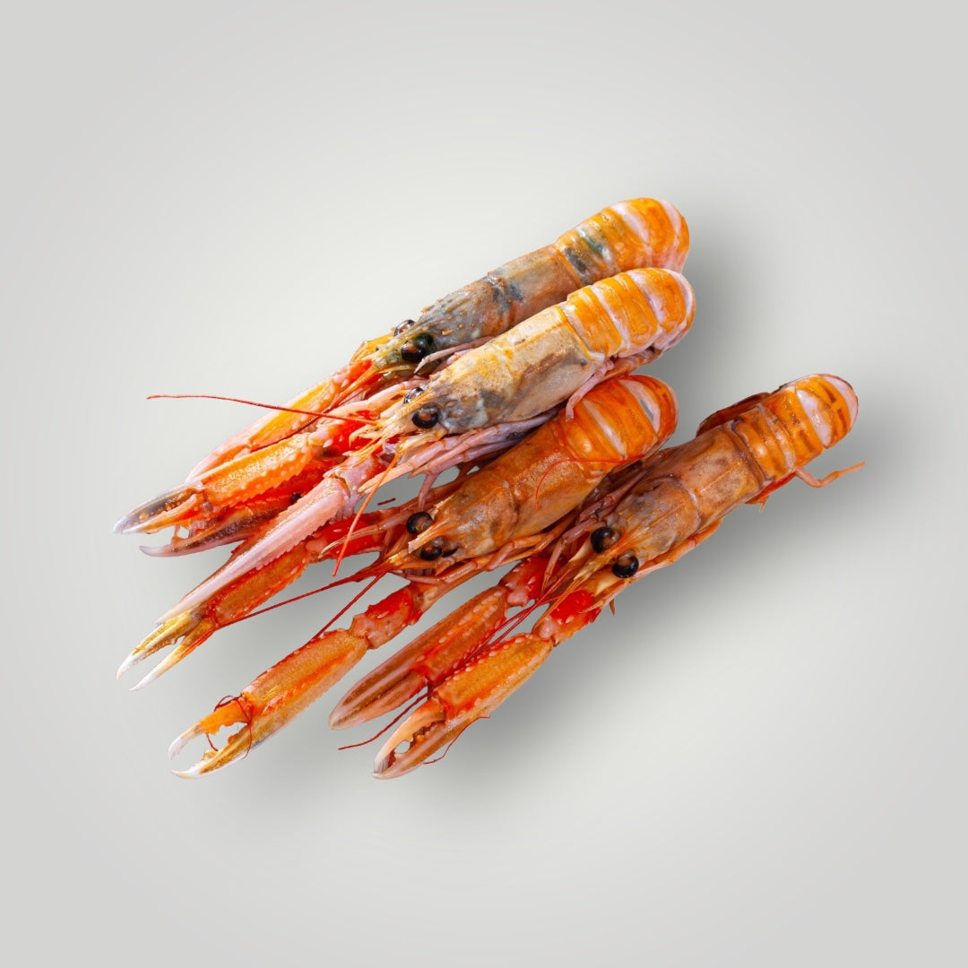 Langoustine Whole 8/12 | Scampi | 750g