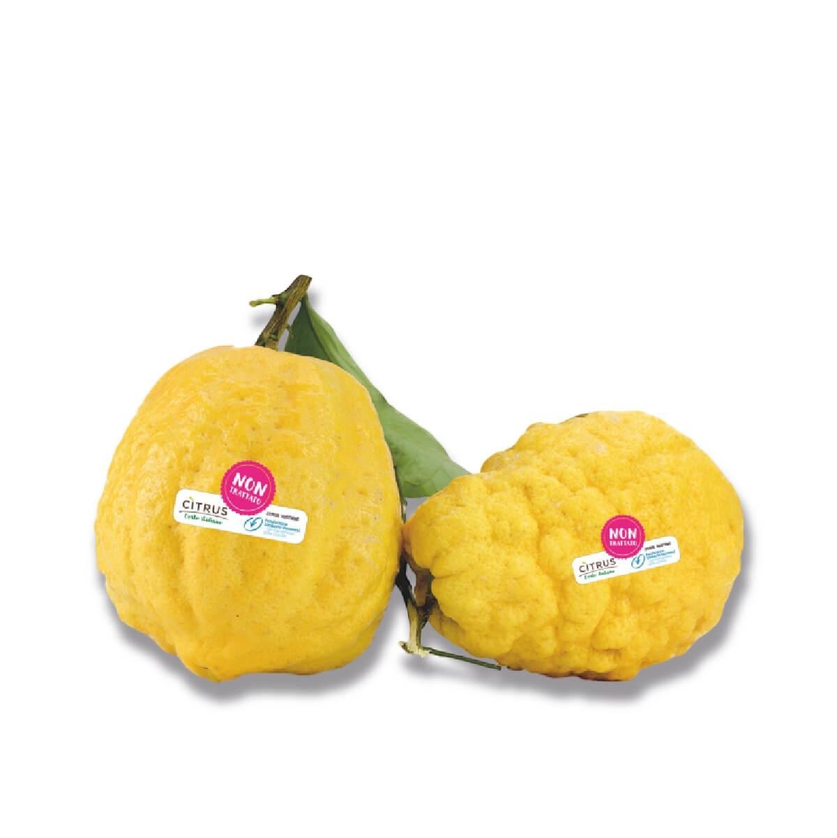 rcc_id:15126