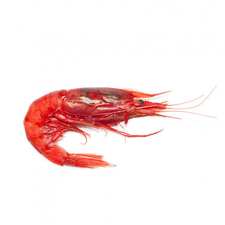 Mazara Red Prawns 3° 70/80 | Gambero Rosso | 2Kg