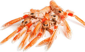 Langoustine Whole 8/12 | Scampi | 750g