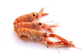 Langoustine Whole 8/12 | Scampi | 750g